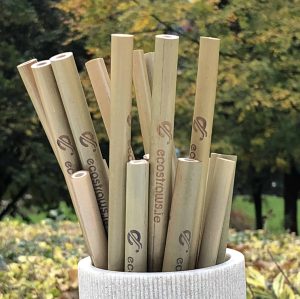 reusable bamboo straws Ireland