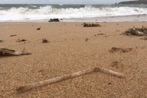 17-11-straw-on-beach