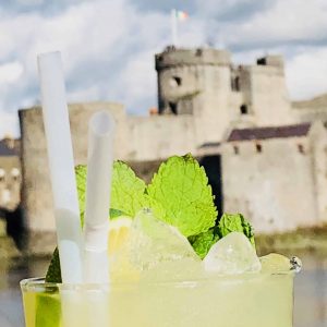 Compostable PLA straws Ireland
