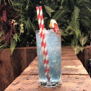 Compostable Drinking Straws Ireland 2