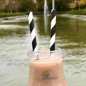 Compostable Paper Straws Ireland 9