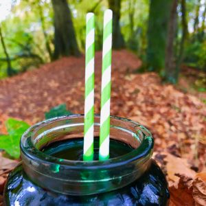 Coloured Paper Straws Ireland 7